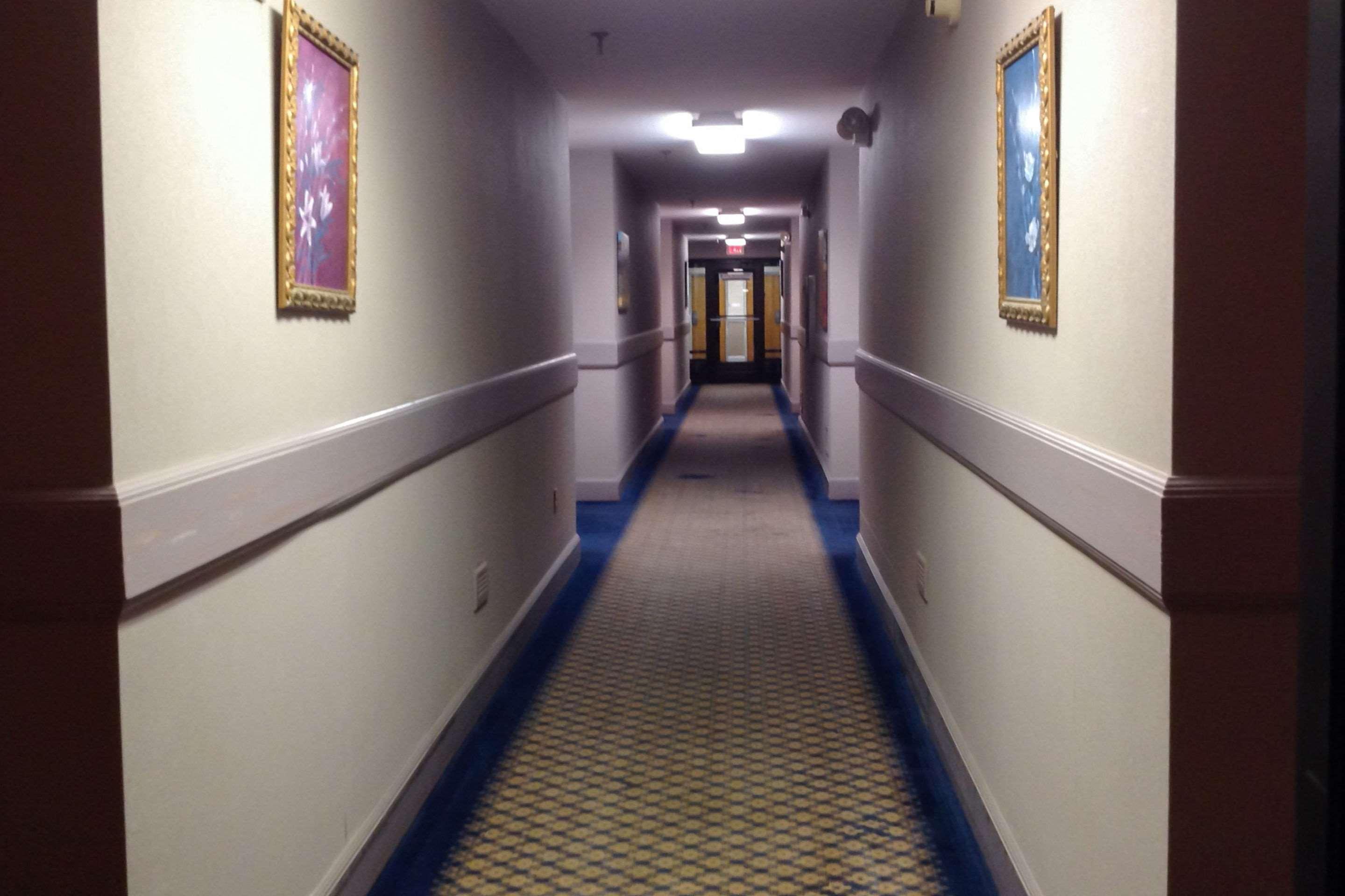 Econo Lodge & Suites סאות'רן פיינס מראה חיצוני תמונה